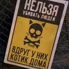 kote65ru