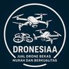 Dronesiaa_pasjatim