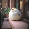 bigfreakbird38