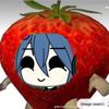 yumi_foll1