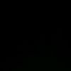 halid_bhry