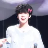 t_han_tik_tok