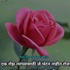 laxmibk1234566