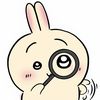 PUZZLE USAGI