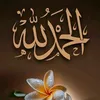 elaounimikil