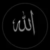 rozi.meer8