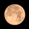 moon_lite99