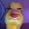delrosariod4ni3l2