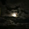 chelik_379