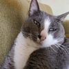 eufe4125sandra