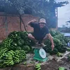 duongchuoilabadalat