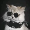 william.funny.comedy
