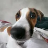cash_1726
