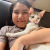 baby2ch_cat