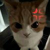 angel_hatel_507