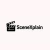 Scenxplain