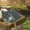 ilovemycat12341