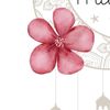 syedaayesha954
