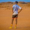 robin_3_66