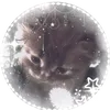 _beeve3
