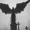 ji.iyu7