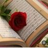 user75403017905967