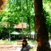 alisiq.stefanova63
