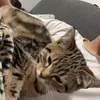 slxpyadm7