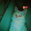 eslam.aamer6