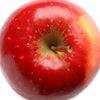 itslikebitingan_apple