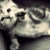 jwan_10203040