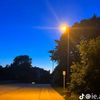 bosbos_ahmad_44