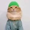 mohamadapdi23