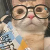 hashiro126