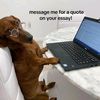 tutorclement