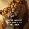miral.mdn5