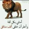user9231842721224