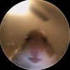 donovangg60
