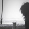 ky_7385