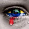 luis.ortiz4370