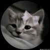 allyson5663