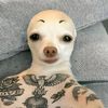 alexyaaaa_78800