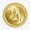 user9354679032430