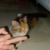 mr_scatter00