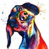 doxie.fan.club