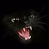 user12119399482002