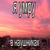dalbaeb_balepa