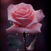 maram.marai