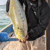 plung.nyut.fishin
