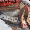 alialwaili8